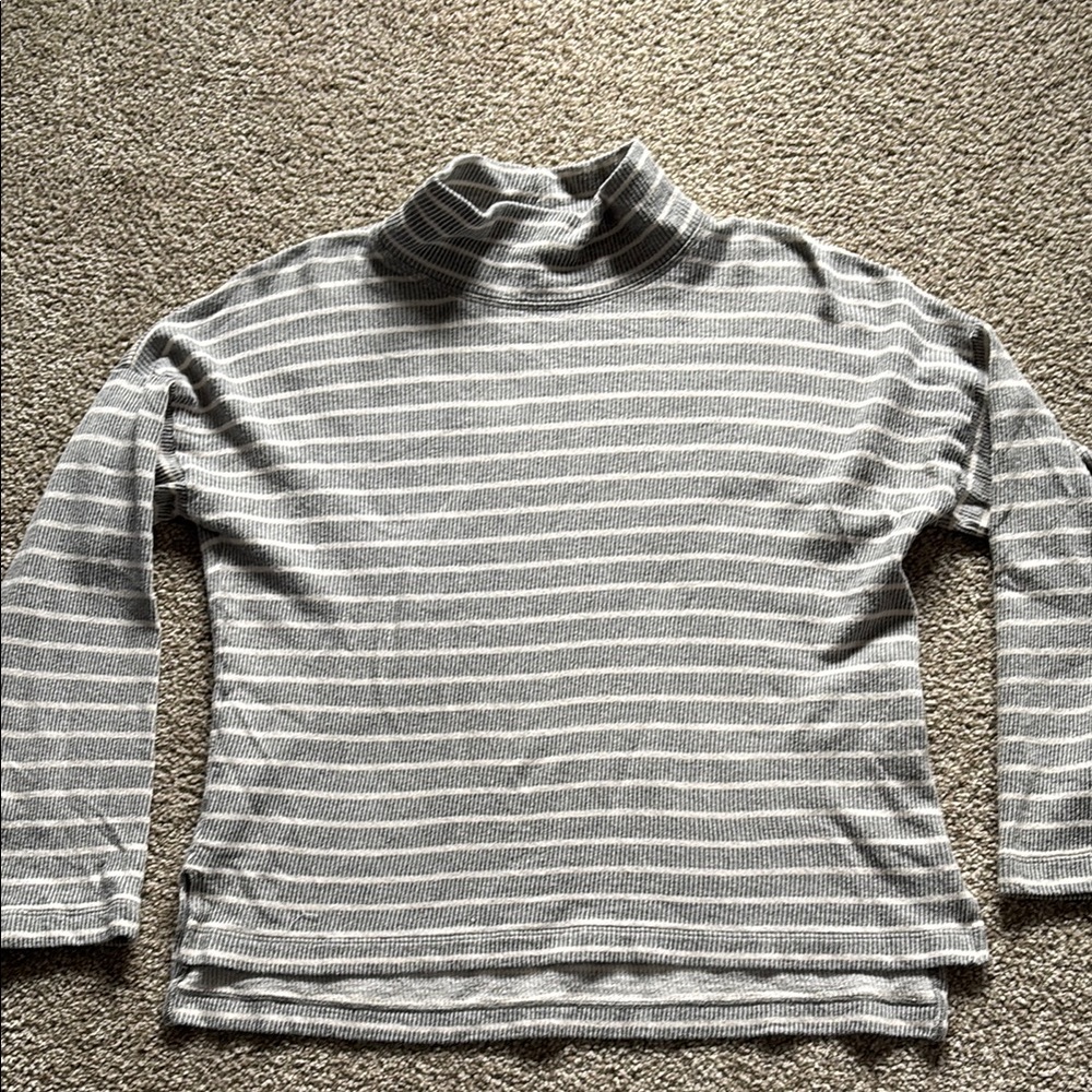 Madewell Striped Gray Turtleneck